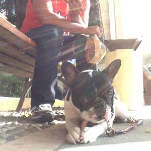 Meet your Posher, Dar